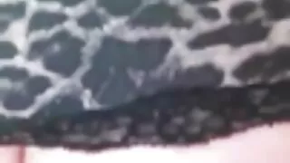 সুস্বাদু কোঁকড়া শ্য ...