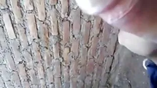নিটোল আবলুস বেশ্যা C ...
