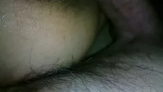 নির্লজ্জ ককেশীয় হাস ...