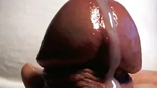 আবলুস বোমশেল কান্দি  ...