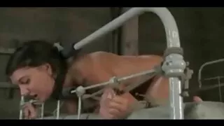 শৃঙ্গাকার খোকামনি লে ...