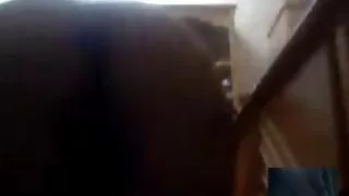 মেলিসা নামে গরম শ্যা ...