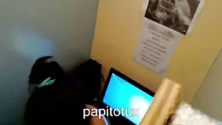 সুন্দর বাংলাচুদাচুদি ...