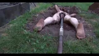 নিকি ড্যানিয়েলস তার ...