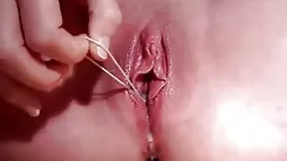 ভোরাসিয়াস আবলুস স্ল ...