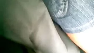 গাধা থেকে মুখের দৃশ্ ...
