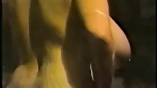 দৈত্য জগ সহ উত্সাহী  ...