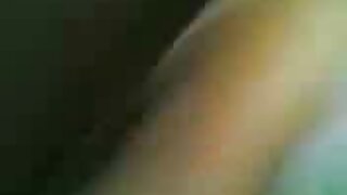 গাড়ি যৌনতা