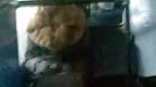 বুটিলিসিয়াস এবং বৃদ ...
