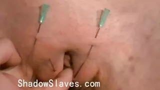 স্বর্ণকেশী sexpot জু ...