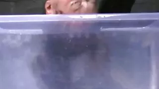 বিডিএসএম অশ্লীল দৃশ্ ...
